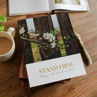 Stand Firm | Armor of God Study 